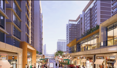 其超卓的不变性和高质量的衬着结果而著